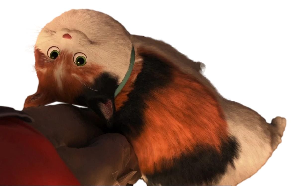モチ