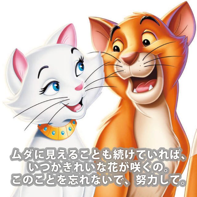 ダッチェス