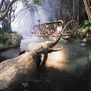 ジャングルクルーズ:ワイルドライフ・エクスペディションの写真 ジャングルクルーズ:ワイルドライフ・エクスペディションの写真