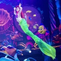 マーメイドラグーンシアターの写真 マーメイドラグーンシアターの写真